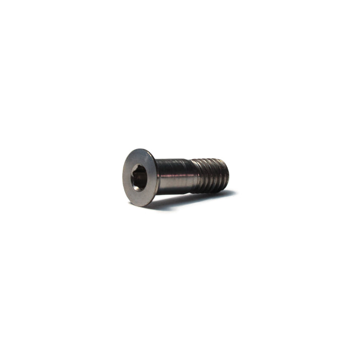 Tornillo M5x14mm (x2 unidades) - Roldanas del tensor